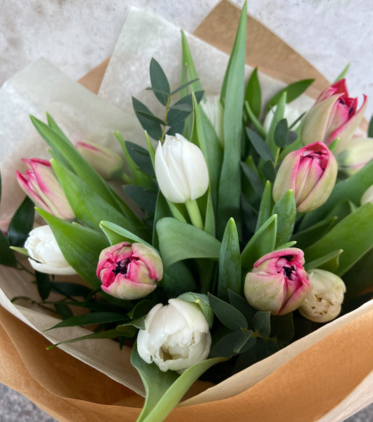 Tulppaanit hempeissä sävyissä